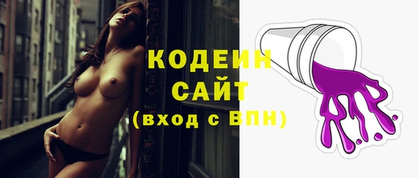 индика Балабаново