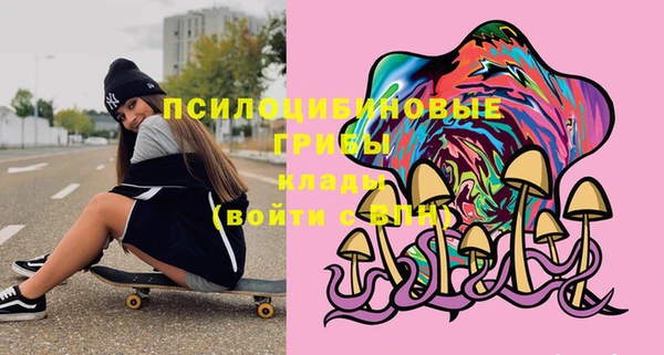 дмт Балахна