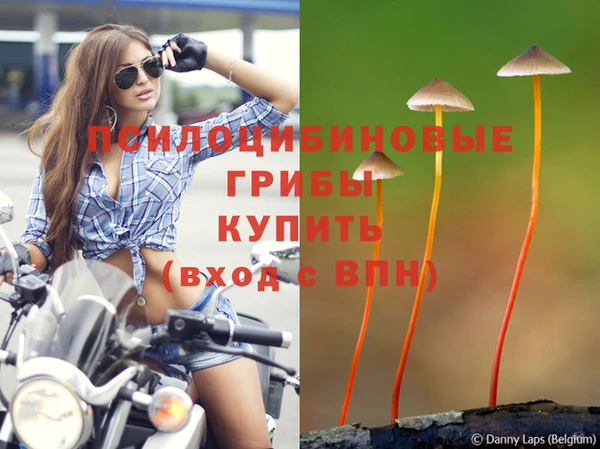 дистиллят марихуана Баксан