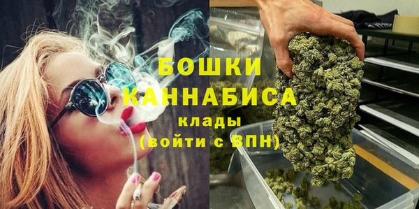 индика Балабаново